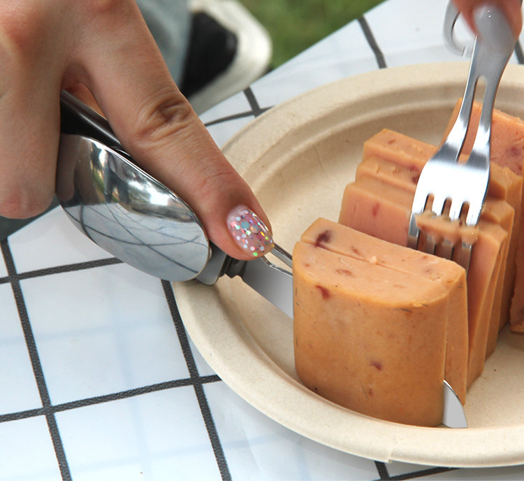 Multi-function Camping Fork Sp - Camping Cooking Bundle review and price