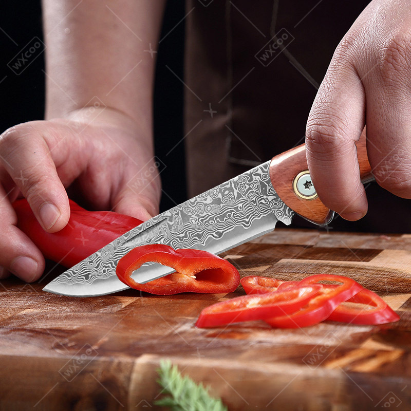 WXCOO Folding Knife Pocket Kni - Camping Cooking Knives review and price